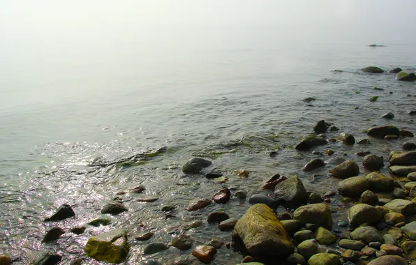 Beach, sea, fog, stones