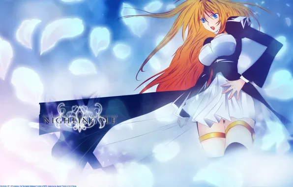 Картинка blue eyes, Sekirei, blonde, tsukiumi