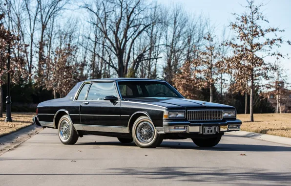 Купе, шевроле, black, chevrolet, coupe, classic, caprice, 1987