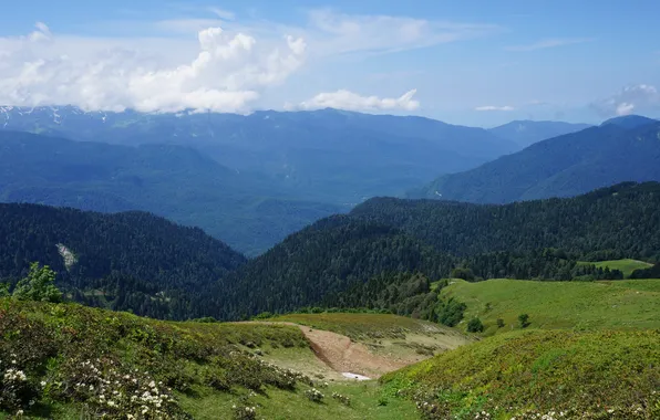 Горы, природа, mountains, кавказ