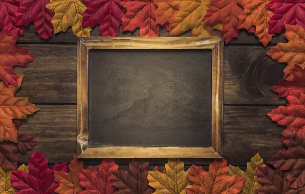 Осень, листья, фон, дерево, colorful, доска, wood, background