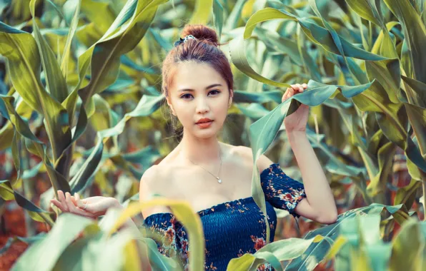 Взгляд, лицо, модель, кукурузное поле