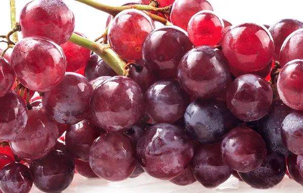 Красный, ягоды, berry, виноград, гроздь, red, Grapes, raceme