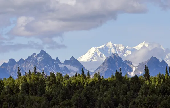 Картинка лес, облака, снег, горы, гряда