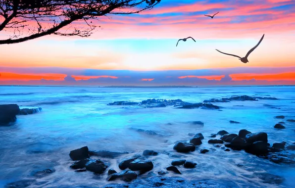 Картинка море, волны, небо, пена, закат, птицы, камни, чайки