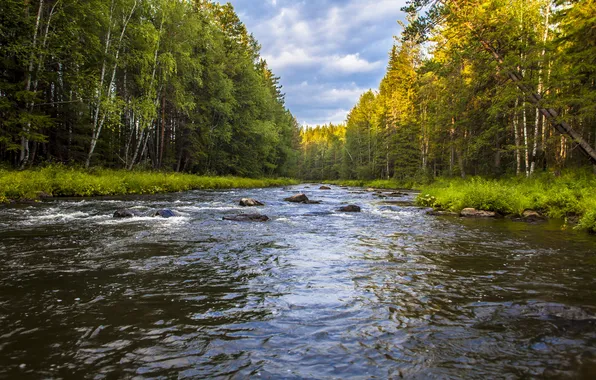 Картинка лес, небо, облака, река, камни