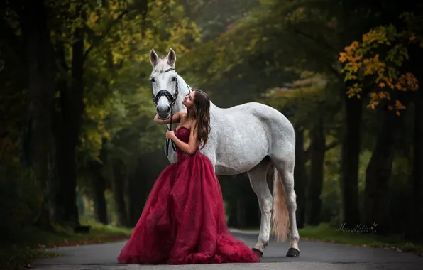 Картинка дорога, осень, девушка, лошадь, платье, Mona Hоhler