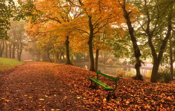 Картинка осень, листья, вода, деревья, пейзаж, скамейка, природа, река