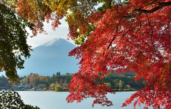 Картинка осень, небо, листья, деревья, озеро, дом, Япония, гора Фудзияма