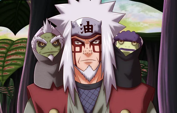 Наруто, Naruto, жабы, Джирайя