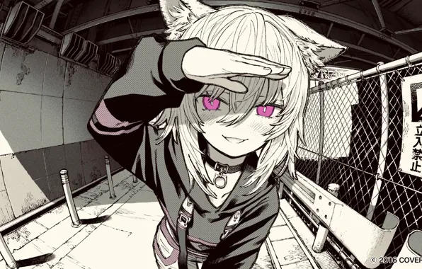 Кошка, девушка, Hololive, виртуальный ютубер, Holo no Graffiti, Okayu Nekomata