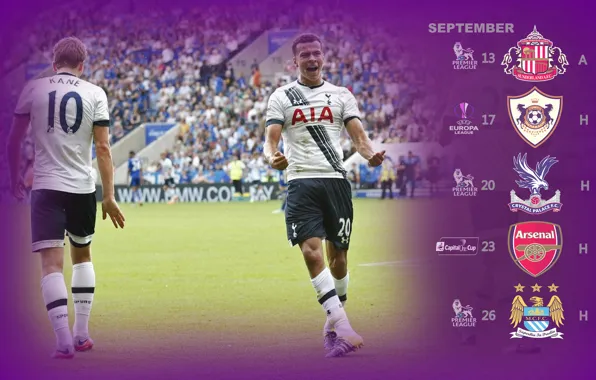 Football, Spurs, Tottenham Hotspur