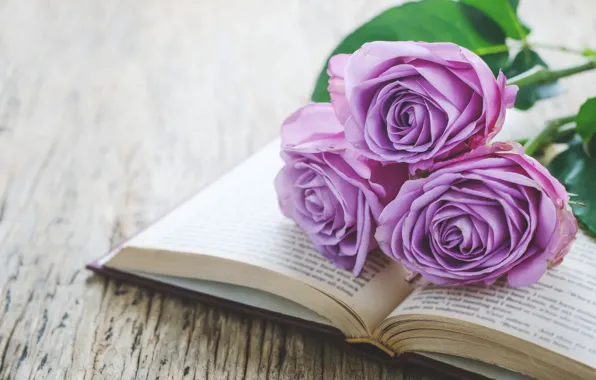 Розы, букет, книга, wood, flowers, romantic, purple, book