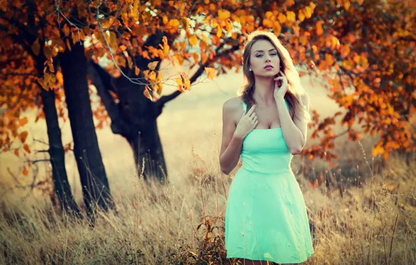 Картинка Girl, Blue, Autumn, Dress, Blond