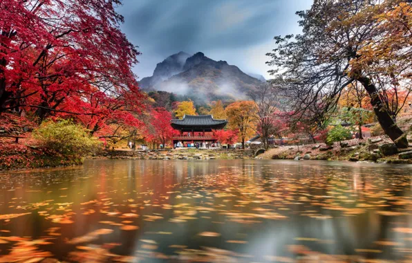 Картинка осень, облака, деревья, горы, туман, пруд, парк, храм