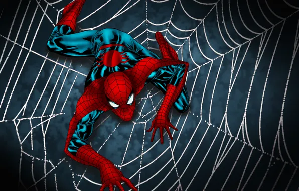 Картинка spider man, web, shadowsuit