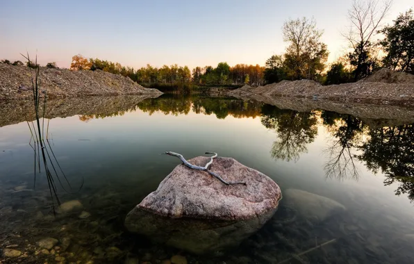 Озеро, камень, ветка