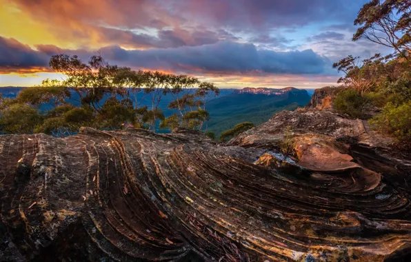 Облака, деревья, природа, Австралия, Новый Южный Уэльс, Narrow Neck Plateau, Голубые Горы