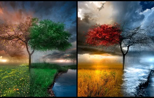 Природа, место, дерево, времена года, природная красота