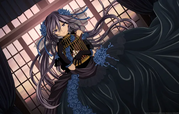 Ночь, клетка, кролик, черное платье, Pandora hearts, Alice Baskerville