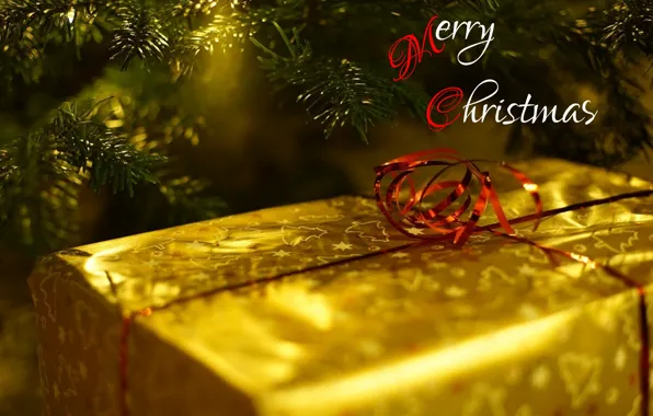 Christmas, Xmas, Holiday, New year