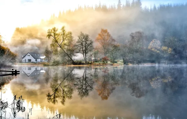 Nature, Water, Landscapes, Morning, Fog, Houses, Lakes