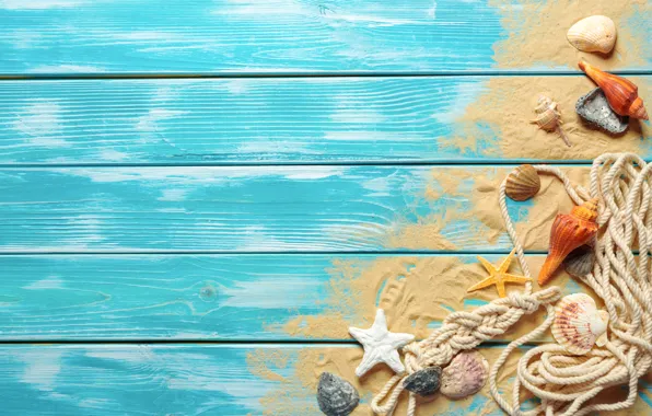 Песок, пляж, ракушки, beach, wood, sand, marine, still life