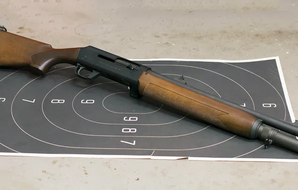 Картинка оружие, shotgun, the 512, Rare H&ampamp;K