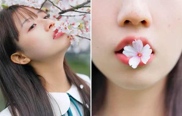 Beautiful, Asian, Model, Tree, Flowers, Woman, Cute, Pretty