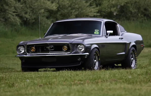 Картинка mustang, ford, old, school