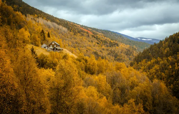 Картинка осень, лес, горы, дома