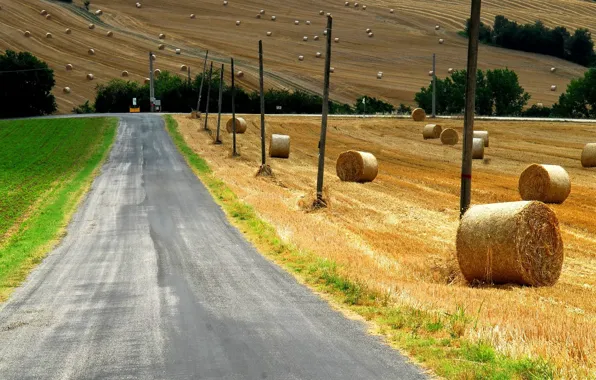 Grass, field, landscape, nature, Road, countryside, straw, bales