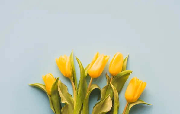 Цветы, букет, весна, желтые, тюльпаны, fresh, yellow, flowers
