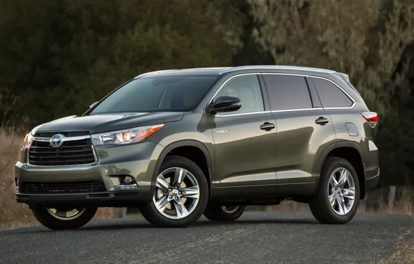Зелёный, toyota, hybrid, кроссовер, горец, highlander