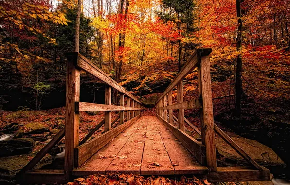 Картинка осень, мост, парк