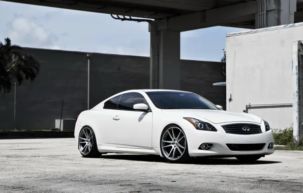 Картинка Infiniti, G37, Concavo, on 20