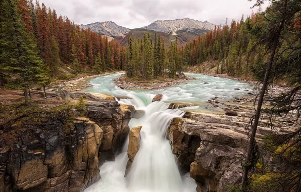 Лес, деревья, горы, камни, скалы, водопад, речка, Jasper National Park