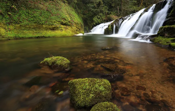 Вода, река, камни, водопад, мох, USA, США, Oregon