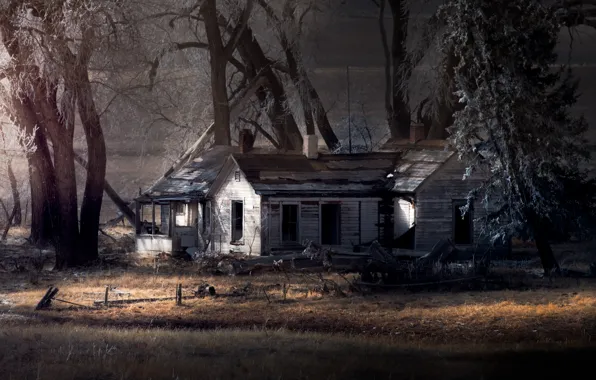 Деревья, природа, дома