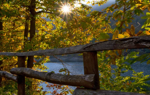Осень, деревья, озеро, забор, Италия, Italy, Лигурия, Liguria