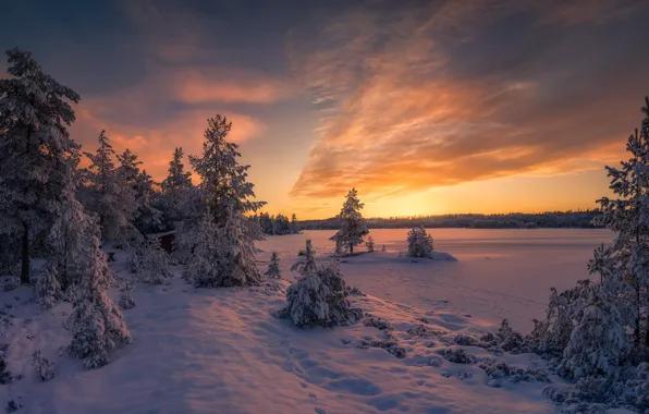 Снег, Норвегия, Norway, Ringerike, Mysterium Magnum