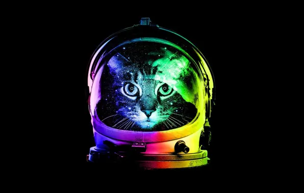 Минимализм, Кот, Шлем, Cat, Minimalism, Hat, Астрокот, Astrokot