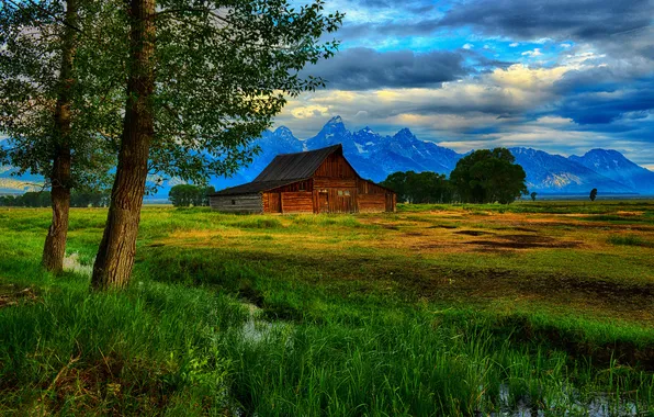 Деревья, горы, ручей, хижина, Wyoming, Grand Teton National Park, Thomas Moulton Barn
