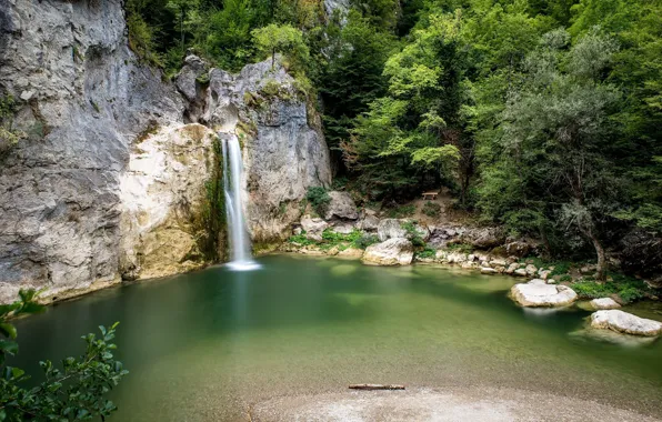 Forest, waterfall, pond