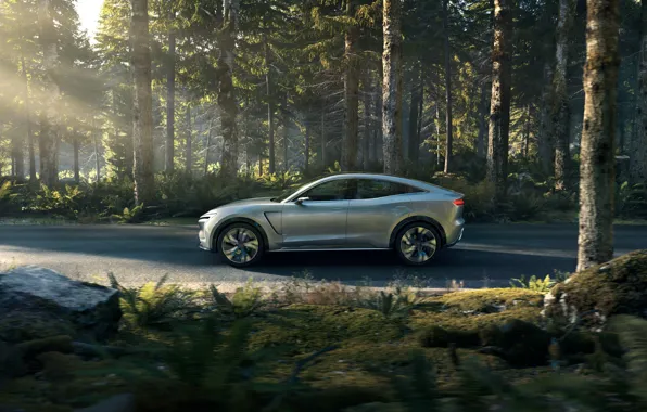 Вид сбоку, 2019, SF7, SF Motors, электрокроссовер