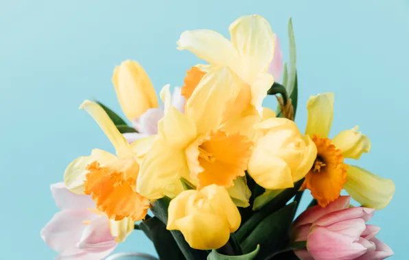 Картинка цветы, весна, желтые, тюльпаны, розовые, fresh, yellow, pink