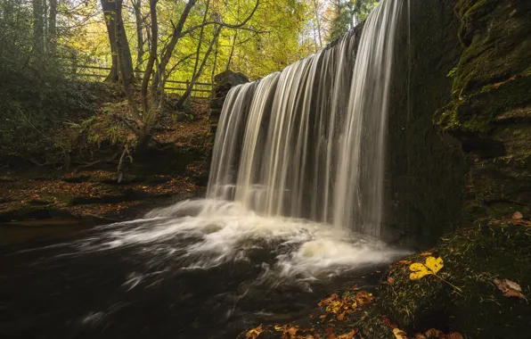 Осень, лес, парк, камни, скалы, берег, листва, водопад
