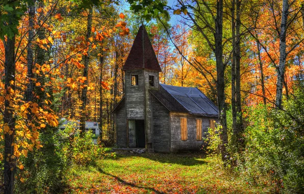 Картинка осень, лес, солнце, деревья, дом, заброшенный