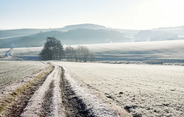 Зима, дорога, поле, снег, утро