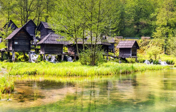 Зелень, лес, трава, солнце, деревья, озеро, домики, Хорватия